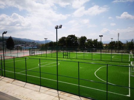 人造草足球場(chǎng)